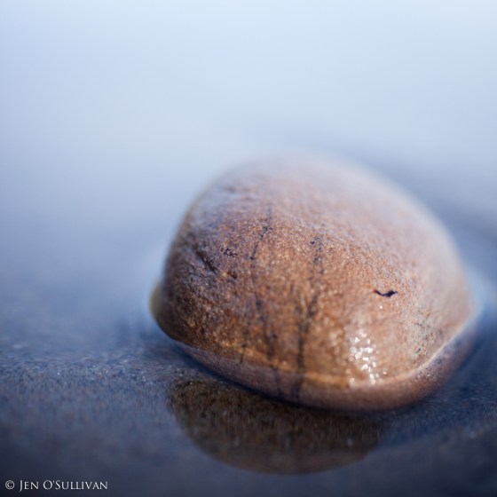 Even the Rocks Cry Out