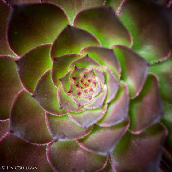 Perfection through God