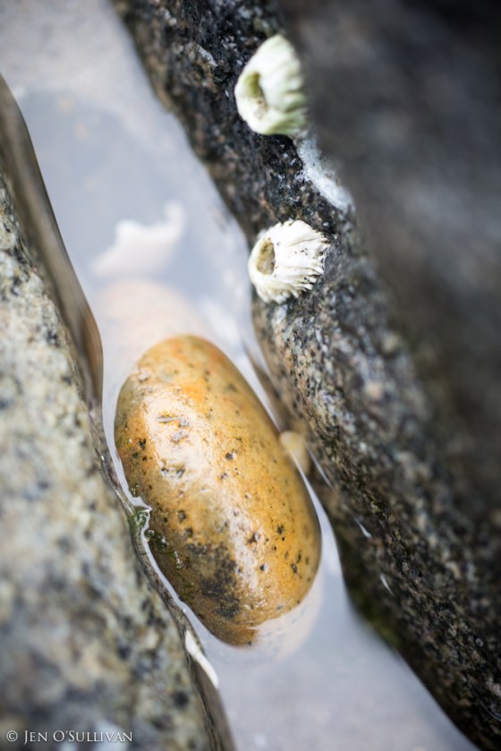 Between a Rock and a Hard Place