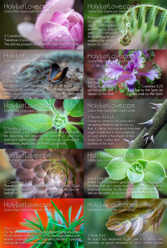 Full Set of Memory Verse Cards for Partners