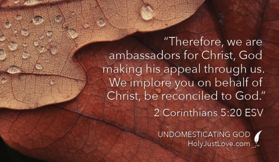 UndomesticatingGodBusinesscard6